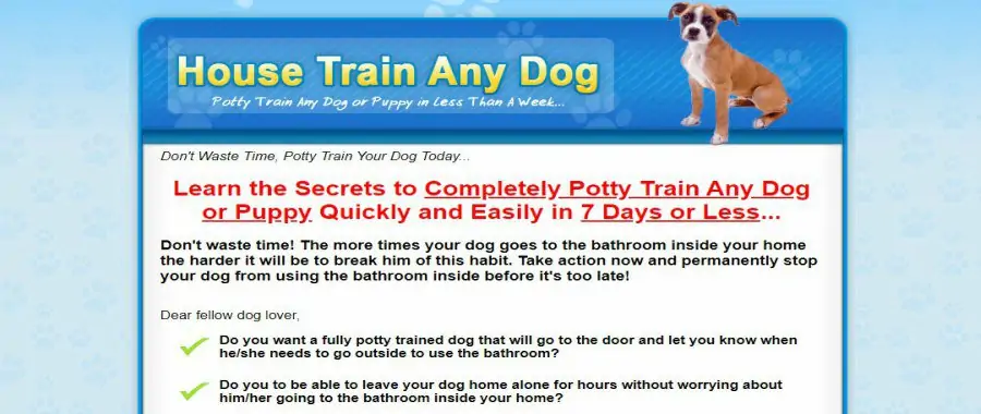 House Train a Dog by Potty Train