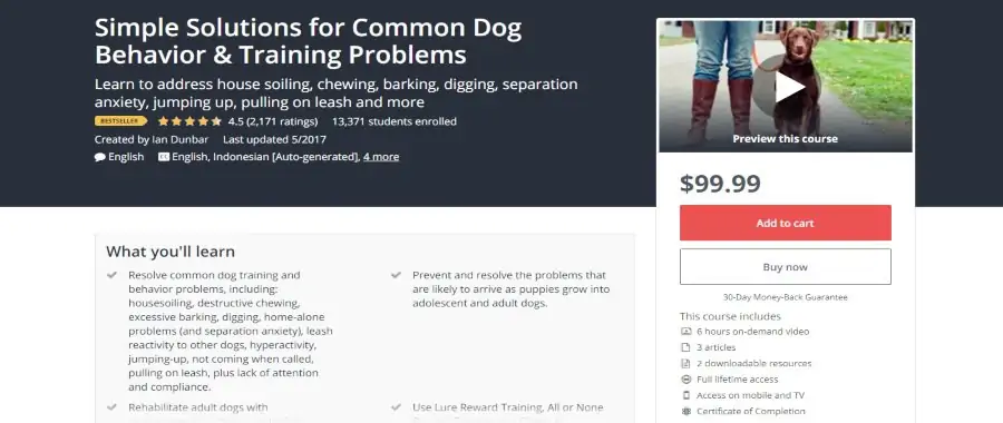 Simple Solutions for Common Dog Behavior & Training Problems