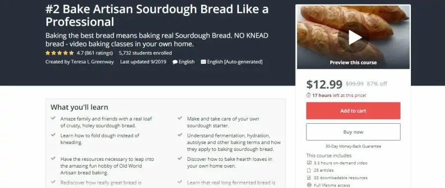 Udemy: #2 Bake Artisan Sourdough Bread Like a Professional