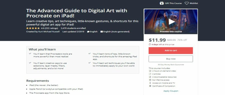 The Advanced Guide to Digital Art with Procreate on iPad!