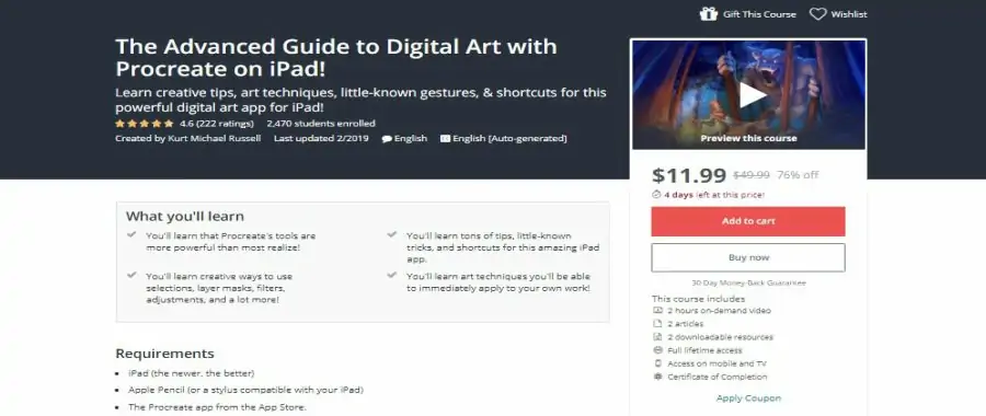 The Advanced Guide to Digital Art with Procreate on iPad!