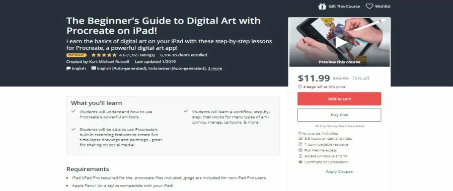 The Beginner's Guide to Digital Art with Procreate on iPad!