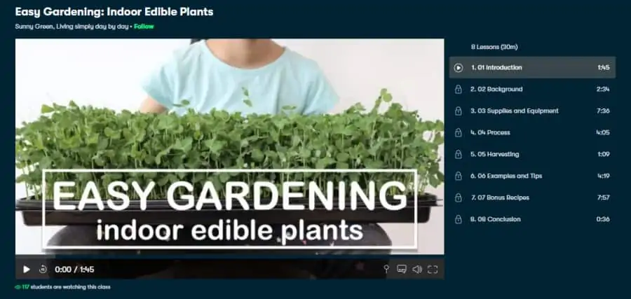 Easy Gardening: Indoor Edible Plants
