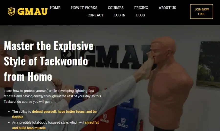 GMAU Master the Explosive Style of Taekwondo from Home