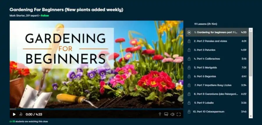 Gardening For Beginners (New plants added weekly)