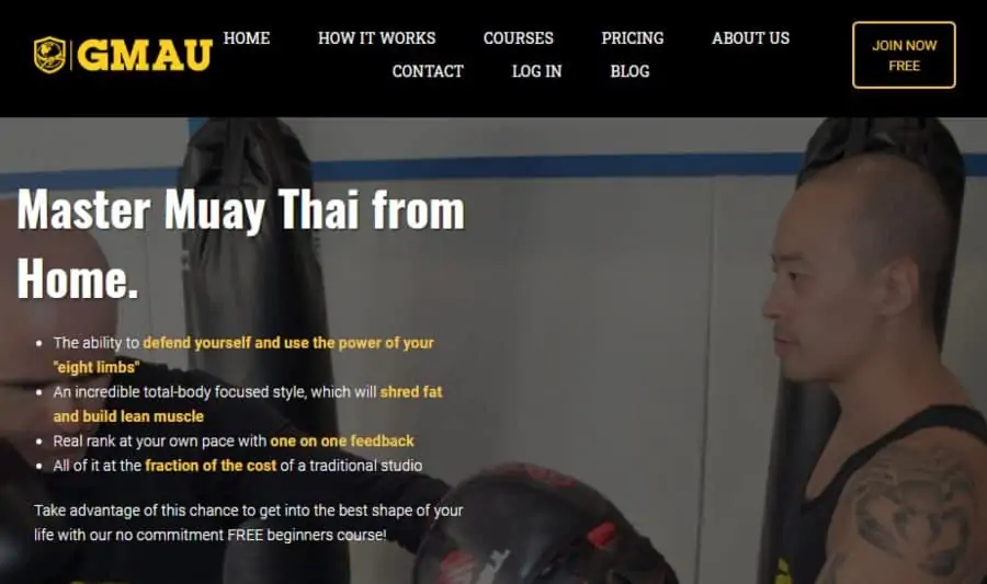 Master Muay Thai from Home