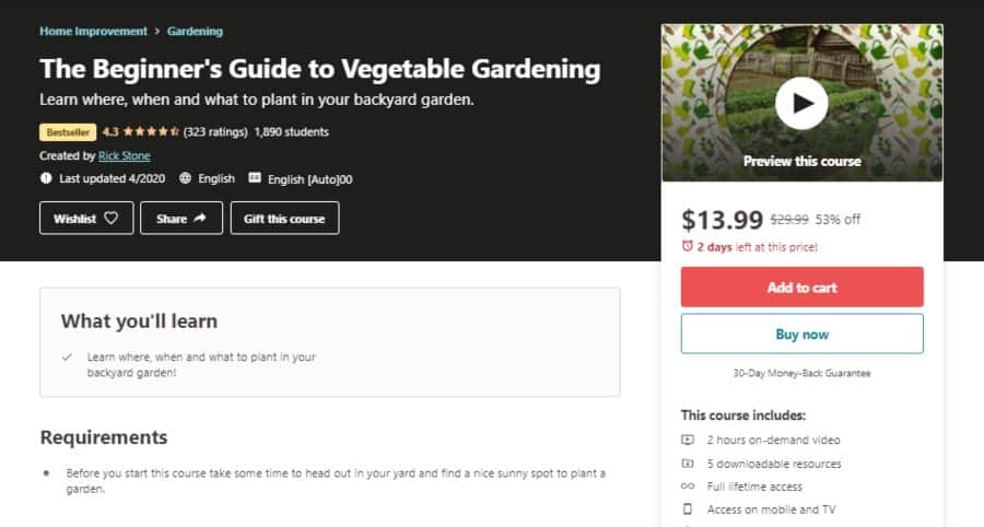 The Beginner’s Guide To Vegetable Gardening