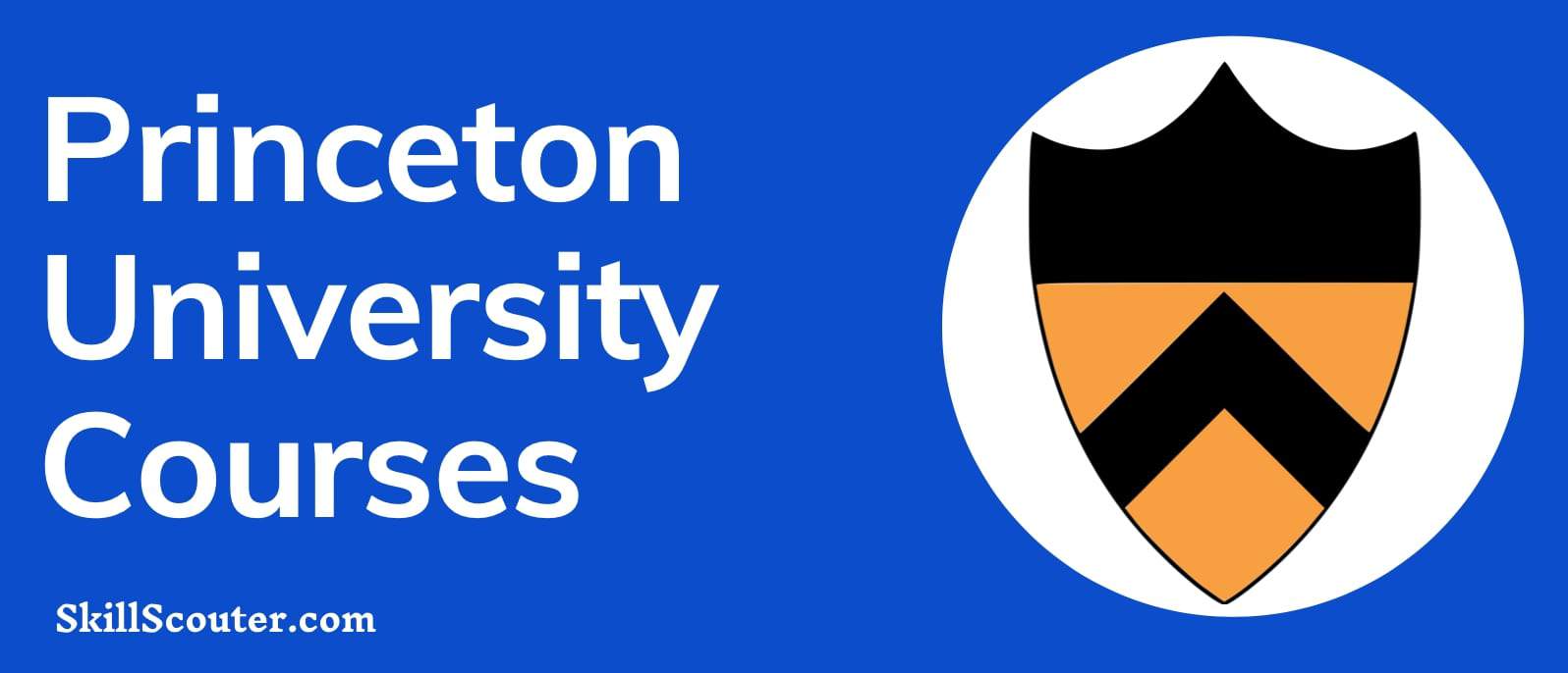 prineton university