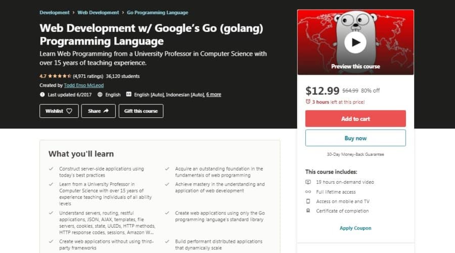 Web Development w/Google’s Go (golang) Programming Language