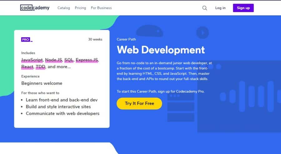 Web Development – Career Path