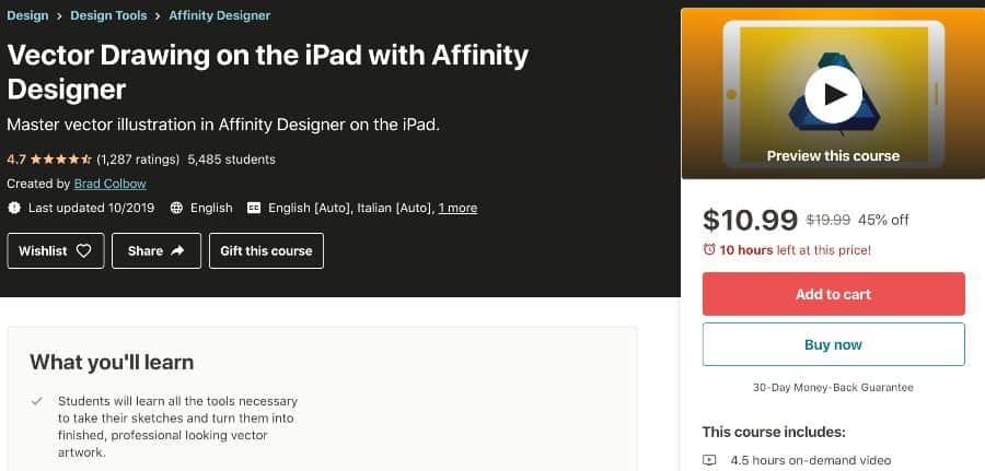 5. Vector Drawing on the iPad with Affinity Designer (Udemy)