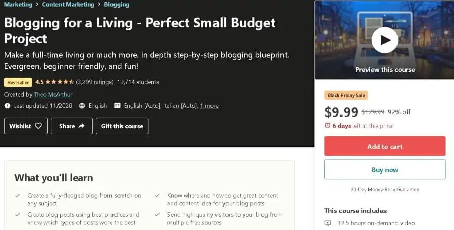 8. Blogging for a Living Perfect Small Budget Project (Udemy)