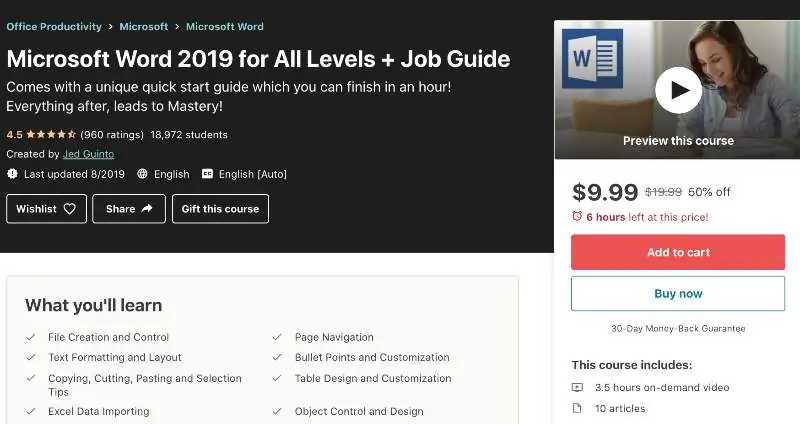 Microsoft Word 2019 for All Levels + Job Guide (Udemy)