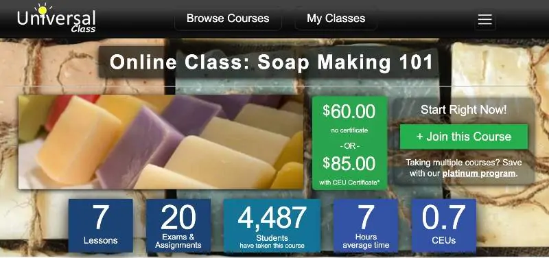 Online Class: Soap Making 101 (Universal Class)